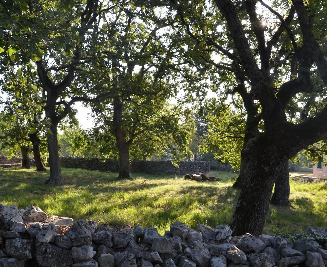Villa Olivetta By Istrian Country Houses Barat