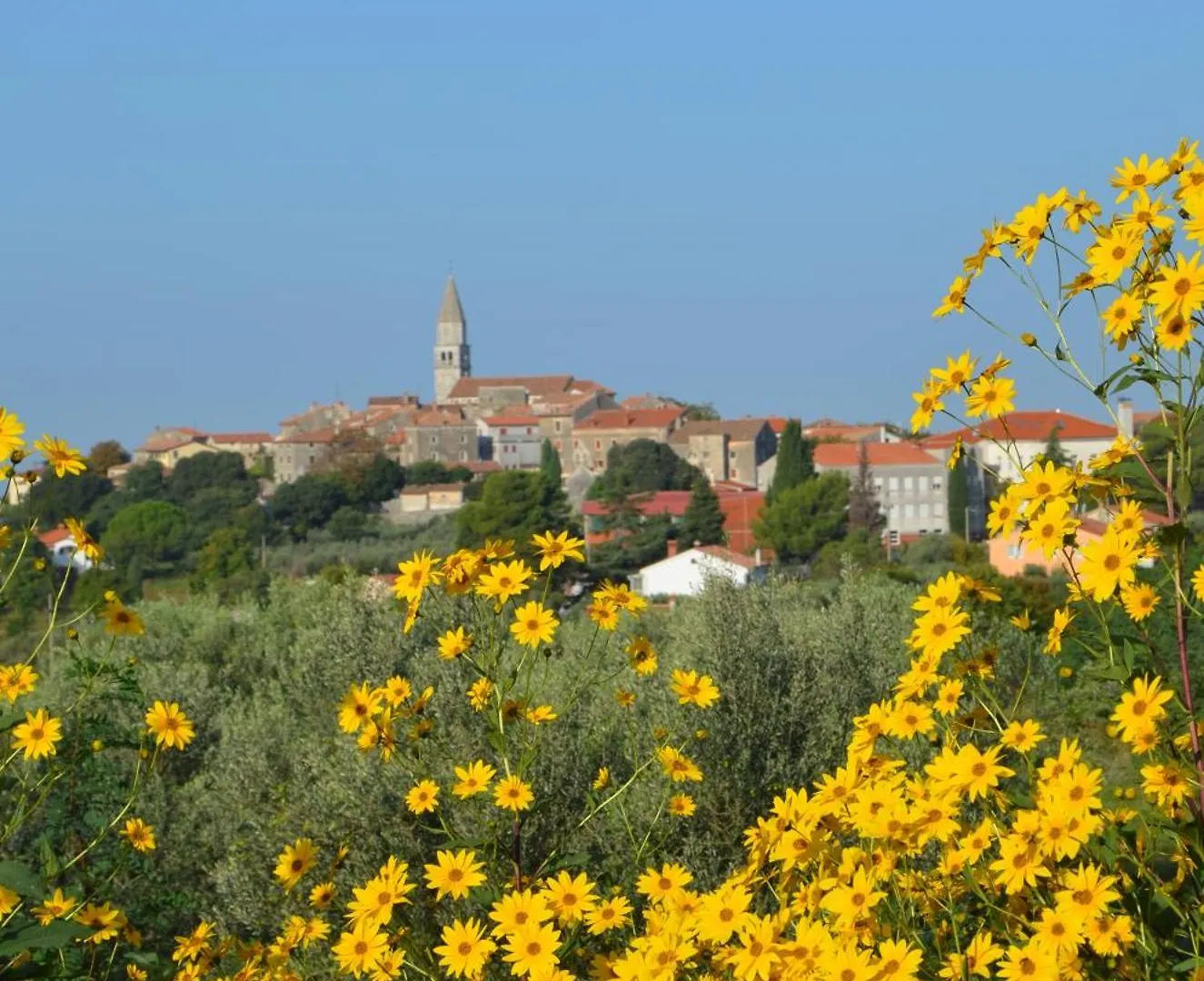 Villa Olivetta By Istrian Country Houses Barat  克罗地亚