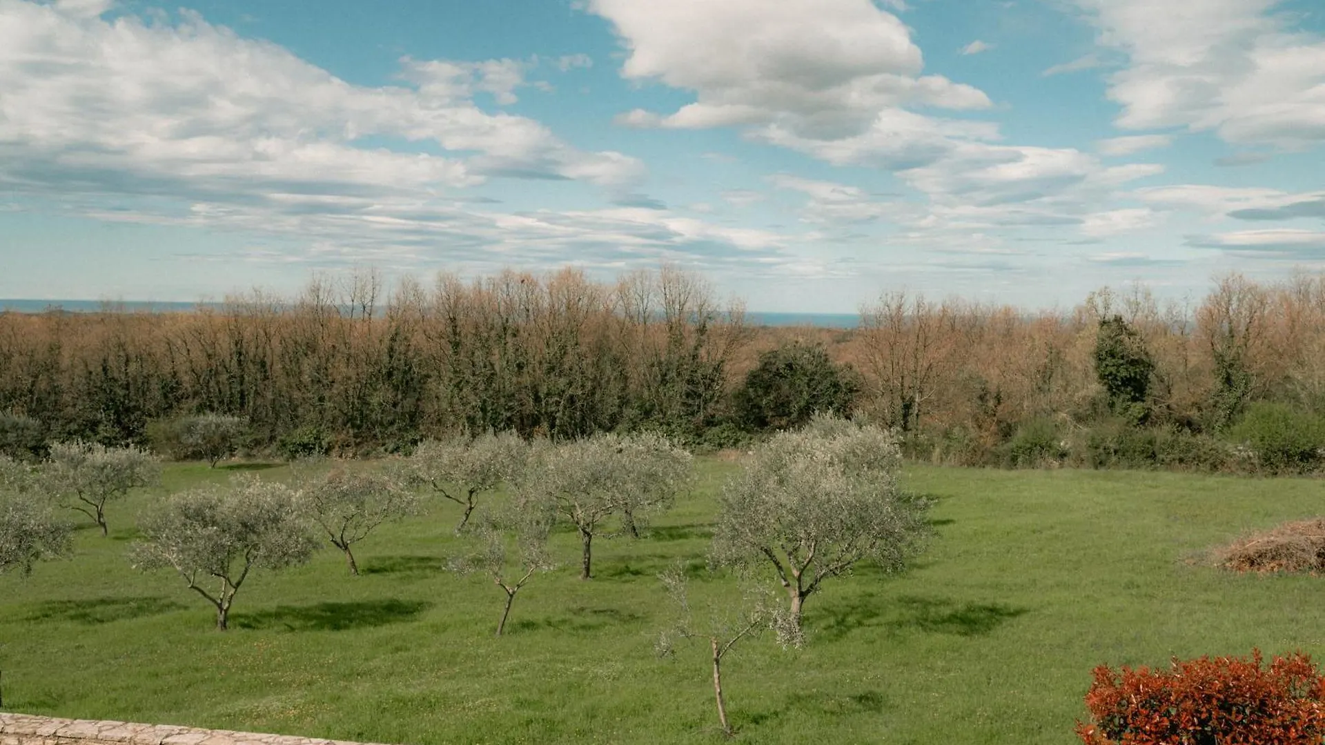 Villa Olivetta By Istrian Country Houses Barat